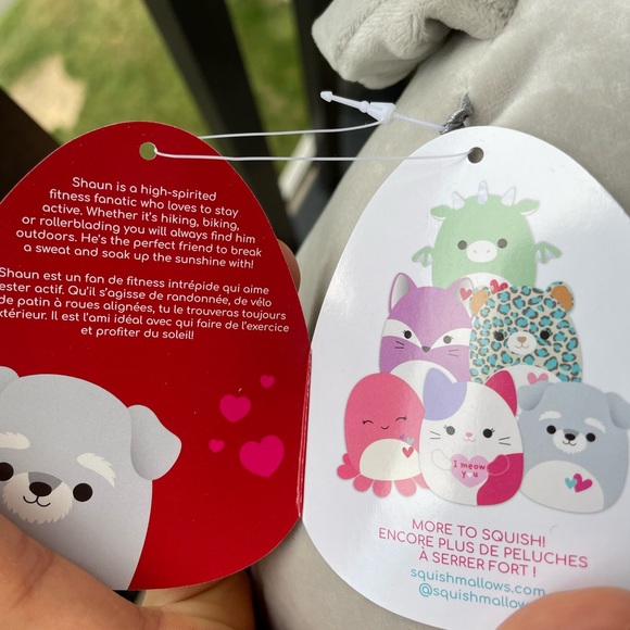 Shaun The Schnauzer- *limited edition* Squishmallow 8” - Picture 4 of 4